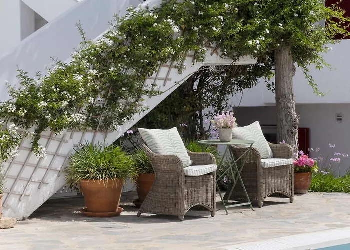 德斯波蒂科酒店 4* Mykonos Town