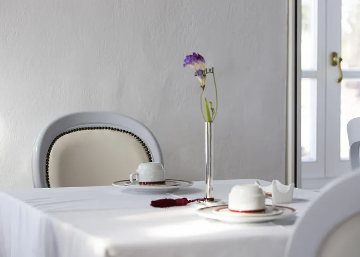 酒店 德斯波蒂科酒店 4*