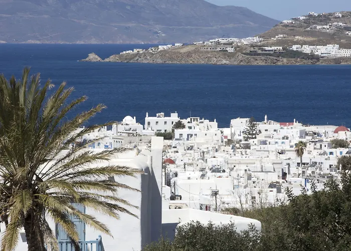 德斯波蒂科酒店 酒店