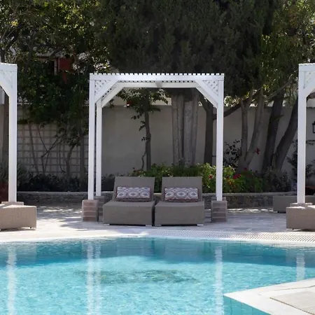 德斯波蒂科酒店 酒店 Mykonos Town