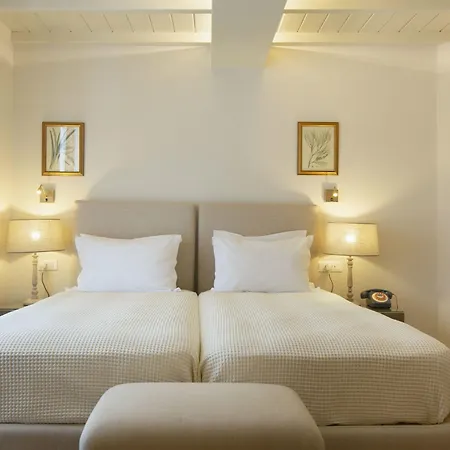 德斯波蒂科酒店 4* Mykonos Town