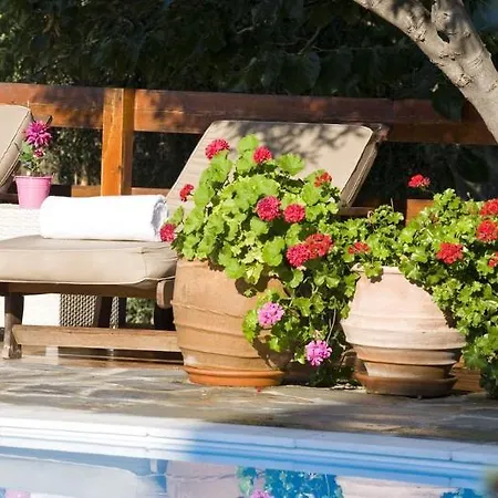 德斯波蒂科酒店 4* Mykonos Town